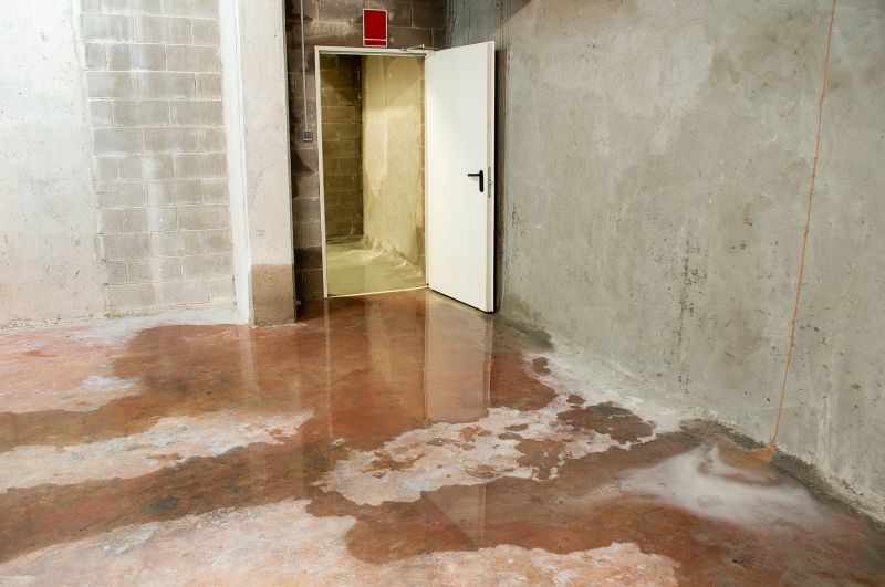 Basement Leak Repair in Tampa, FL