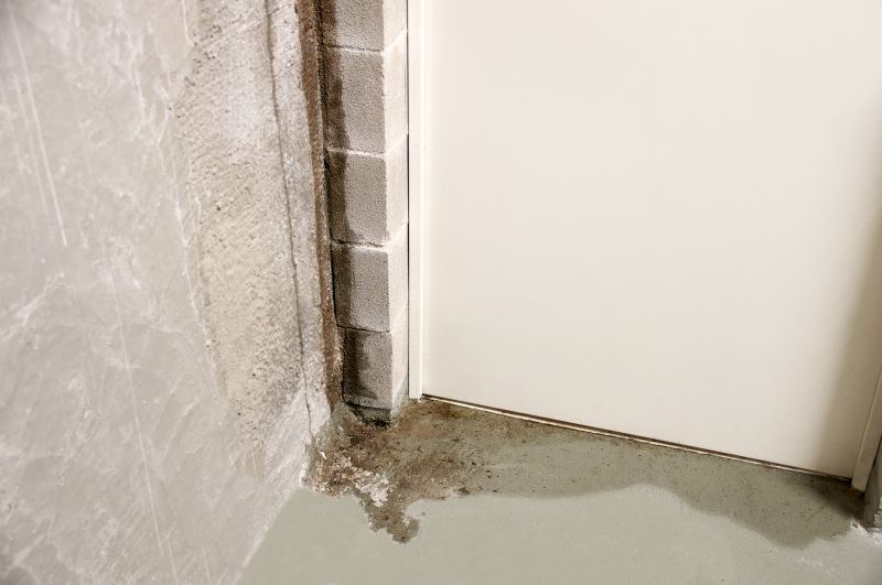 Foundation Leak Repair in Sarasota, FL