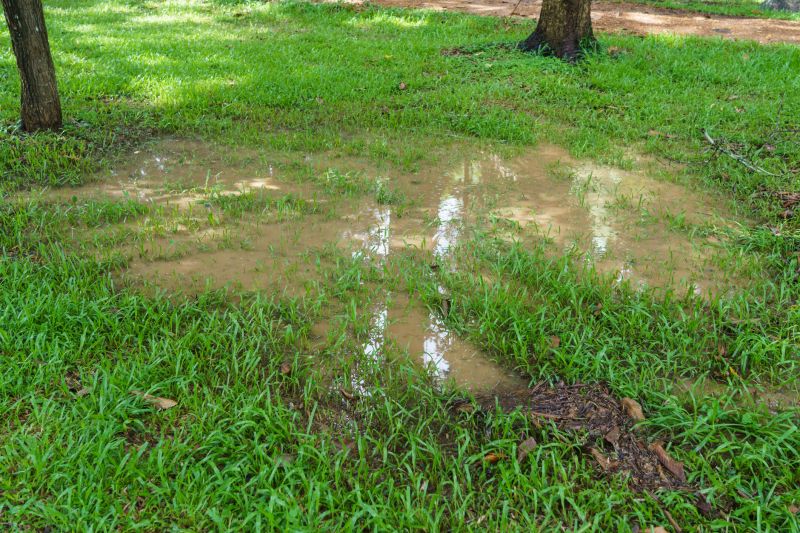 Landscape Drainage in Birmingham, AL